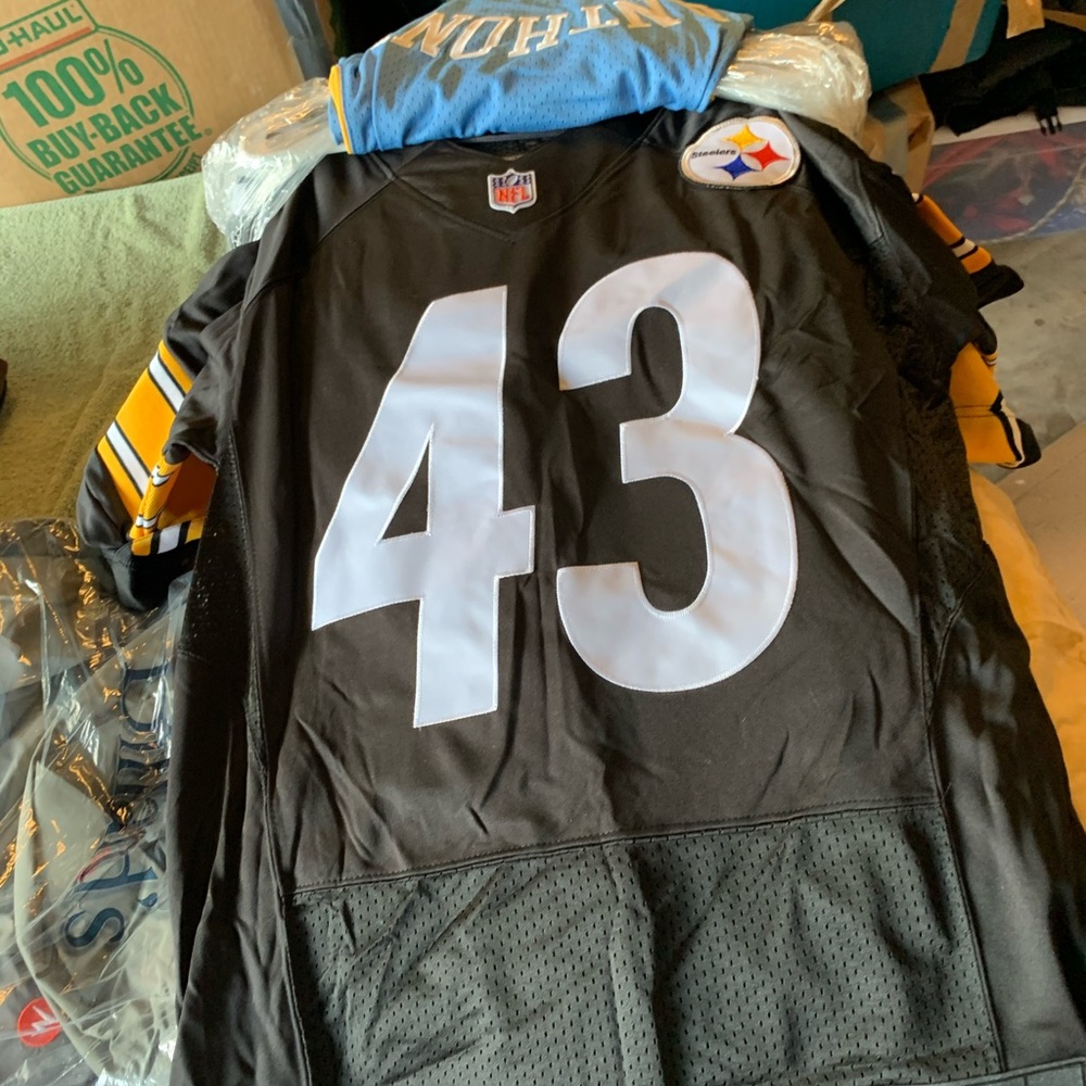 Troy Palamalu NFL Brand Jersey